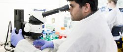 Scientist looking down a microscope in the lab - NIHR Cambridge BRC image