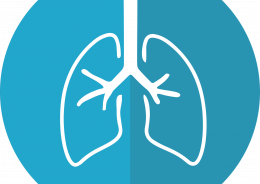 Lungs icon - McMurrayJulie from Pixabay