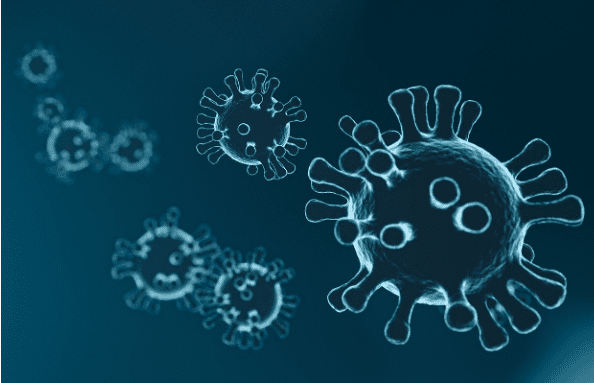 Coronavirus cells