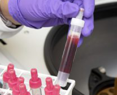 Blood vials being placed in centrifuge