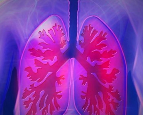 Upper Body, Lung, Copd, Disease, Doctor