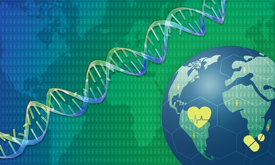 The Polygenic Score Catalog increases the diversity and usability of genetic data