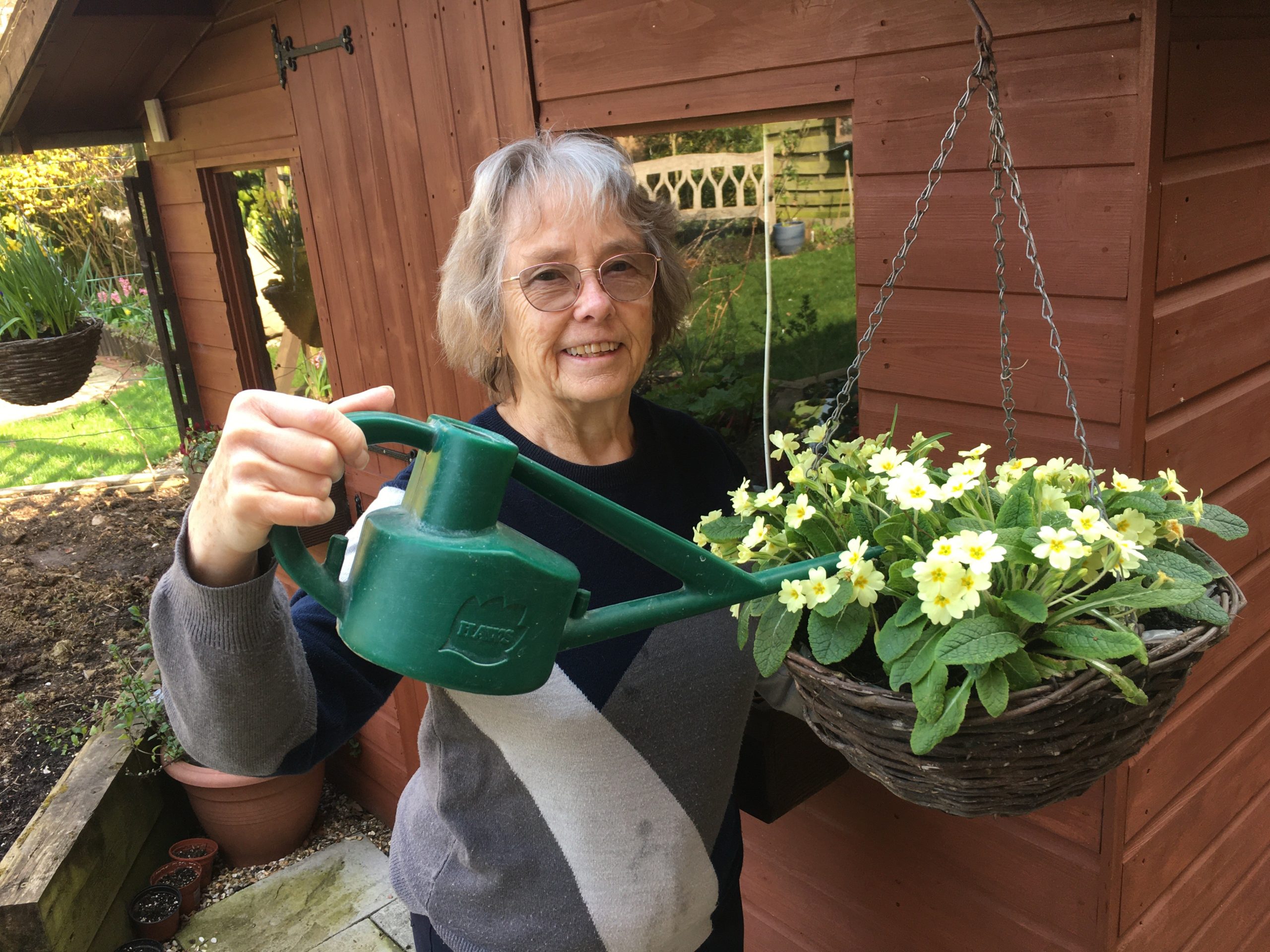 Picture of a woman watering some yellow primroses